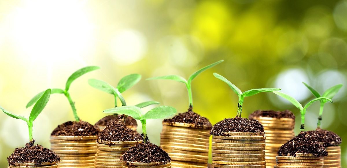 بهترین روش های سرمایه گذاری